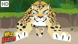 Big Cats | Furious Felines [Full Episodes] Wild Kratts