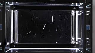 Cloud chamber: Radioactive particles in slow motion