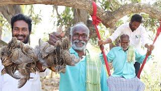 మామిడి తోటలో ఉయ్యాల ఊగుతున్న మన గోవిందరాజులు || Traditional Quail Bird Fry || కౌజు పిట్ట ఫ్రై