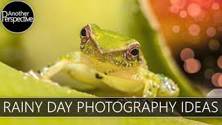 Bad Weather Photography - THIS is why You should grab Your Camera on a Rainy Day