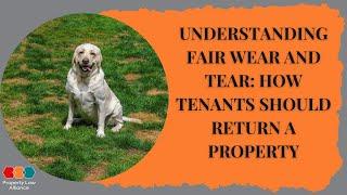 Understanding Fair Wear and Tear: How Tenants Should Return a Property