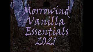 Morrowind Mods: Basic Vanilla Essentials & How To Install - 2021