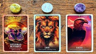 WHERE IS YOUR LIFE READY TO TAKE YOU NEXT?  | Pick a Card Tarot Reading