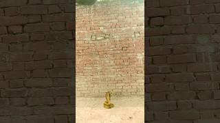 इच्छाधारी नागिन बना लड़का एक बार जरूर देख लेना भाई #viral #viralvideo #new सबसे अलग वीडियो #shorts