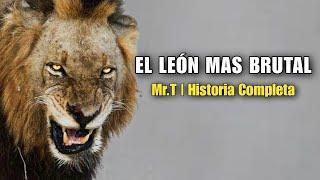 Mr.T Mapogo | HISTORIA COMPLETA