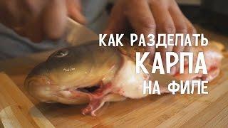 Как разделать карпа на филе