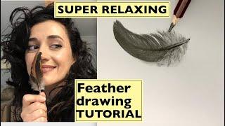 Unintentional ASMR drawing feathers