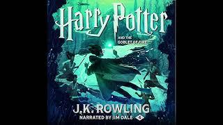 H. Potter and the goblet of fire 3/3 reupl