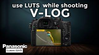 How to load custom LUTS into GH5
