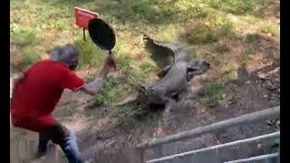 WATCH: Man fights off charging crocodile with frying pan, video goes viral