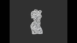 Female Torso 3d print model