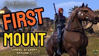 How to get your FIRST Mount in ESO | Tamriel Academy