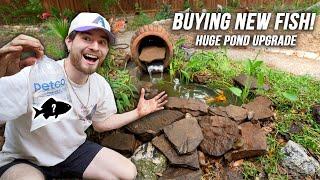 Adding New Fish To My Backyard Pond!! Major 1 Year Upgrade & Update!