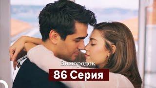 Зимородок 86 Cерия (Русский дубляж)