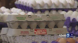 Avian Influenza causing nationwide egg shortage