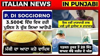 06/12 ITALIAN NEWS IN PUNJABI | ITA PUNJABI | ITALY PUNJABI NEWS CHANNEL | KULVIR SINGH Italy News