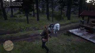 Red Dead Redemption 2 where to find a perfect Opossum for the hunting quest