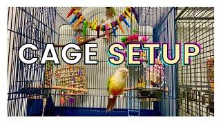 HOW TO SET UP YOUR PARROT'S CAGE | Parrot Cage Setup