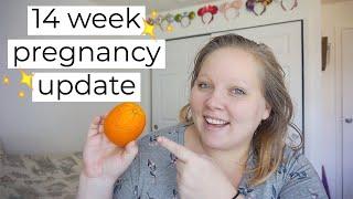 14 WEEK PREGNANCY UPDATE | BEING OVERWEIGHT & PREGNANT