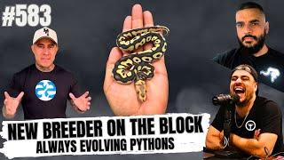 MAKING ONLY BIG DOG MOVES IN THE BALL PYTHON GAME W/ ALWAYS EVOLVING PYTHONS | NBB LIVE