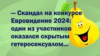 Дорогая, у меня в супе таракан! / Анекдоты от Смешарика