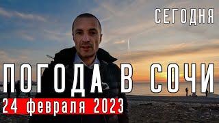 ПОГОДА В СОЧИ! ️ Сочи сегодня 24 февраля 2023. Температура воздуха и моря. Новости Сочи!