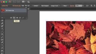 Illustrator: Placing and Embedding Images