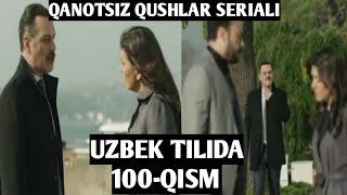 QANOTSIZ QUSHLAR SERİALİ BİZNİNG KANALDA DAVOM ETADİ 100-QISM UZBEK TİLİDA