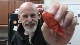 a PERFECT Ghost Pepper from Seriously Hot Peppers! Let's all finish the week strong! Let's go people