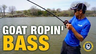 Goat Ropin' Bass; Fishful Thinker TV