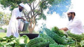 Crispy Karela Fry | Bitter gourd fry | fry karela | Kakarakaya Masala Curry | Karela Masala Curry