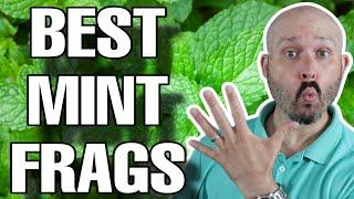 5 Best Mint Fragrances For 2024