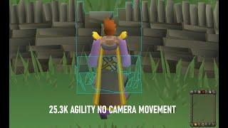 OSRS New Agility Method NO CAMERA/MOUSE MOVEMENT 25.3k