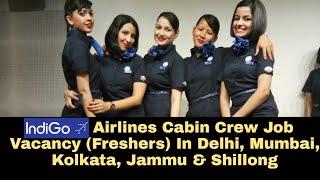 Indigo Airlines Cabin Crew Job Vacancy 2021 | Takeoff With Samreen