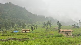 Naturally Most Beautiful Nepali Mountain Village Life: Living Very Organic Lifestyle || IamSuman