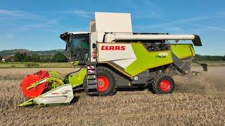 NEW Claas Trion 530 | Getreideernte 2024