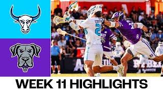 New York Atlas vs. Philadelphia Waterdogs Full Game Highlights