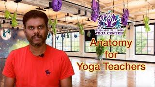 Anatomy for yoga teachers