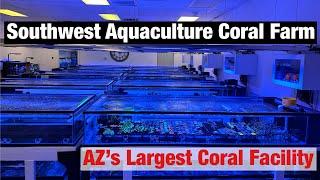 Southwest Aquaculture Coral Farm - Arizona’s Largest Coral Farm Facility