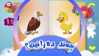 چەند دەزانیت؟ | کەناڵی ئافەرین | afarin kids