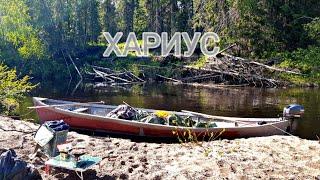 За ХАРИУСОМ на ракете. Хариуса от 3 кг отпускаем!! Russians go fishing