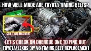 How Well Made are Toyota Timing Belts? Let's Check an OVERDUE One! | DIY V8 Timing Belt