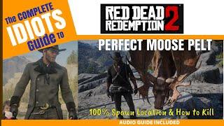 Perfect MOOSE Pelt - Full Audio Guide - Idiots Guide to RDR2