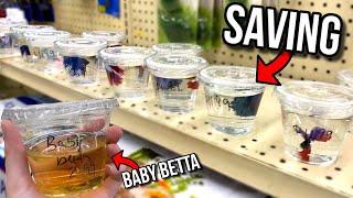 Saving BABY BETTA FISH From DEATH At PET MARKET! (SAD)