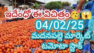 04-02-25 Madanapalle Tomato Market price Today || Today Tomato Market Rate in Madanapalle #today