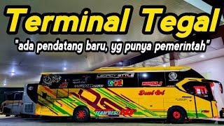 ADA PENDATANG BARU DI TERMINAL TEGAL  YANG PUNYA PEMERINTAH !!!