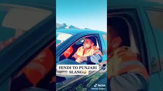 Majha Malwa Doaba ... language different so funny video