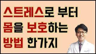 스트레스해소-건강강의-심신의학- 스트레스로 부터 몸을 보호하는 방법 한가지