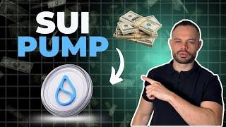 Why is SUI Crypto Pumping? | Sui Crypto Update