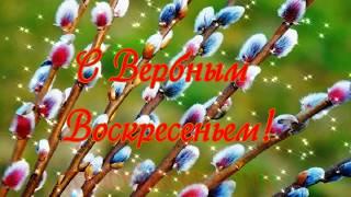 Красивая музыкальная открытка "С Вербным Воскресеньем!"